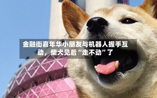 金融街嘉年华小朋友与机器人握手互动，柴犬见后“走不动”了-第3张图片