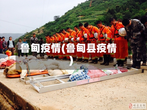 鲁甸疫情(鲁甸县疫情)-第2张图片