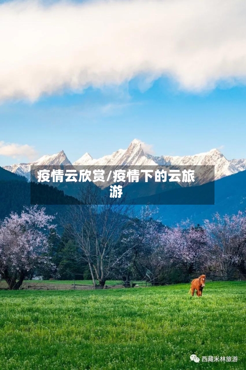 疫情云欣赏/疫情下的云旅游