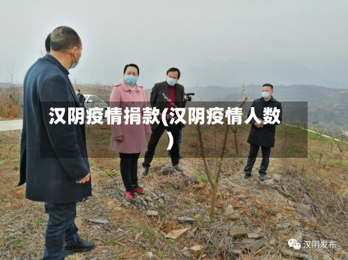 汉阴疫情捐款(汉阴疫情人数)-第2张图片