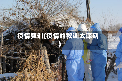 疫情教训(疫情的教训太深刻)-第2张图片