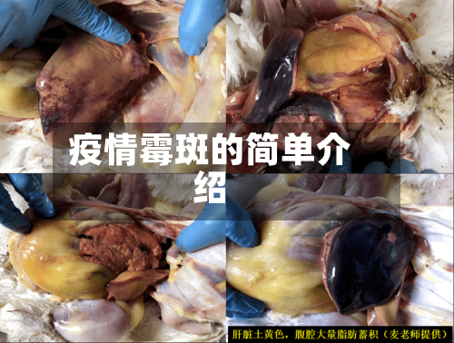 疫情霉斑的简单介绍-第2张图片