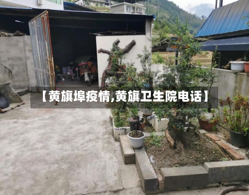 【黄旗埠疫情,黄旗卫生院电话】