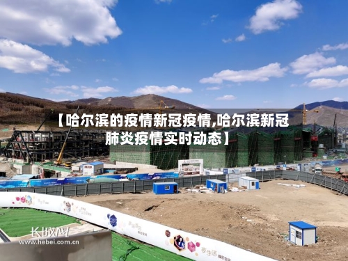 【哈尔滨的疫情新冠疫情,哈尔滨新冠肺炎疫情实时动态】-第2张图片