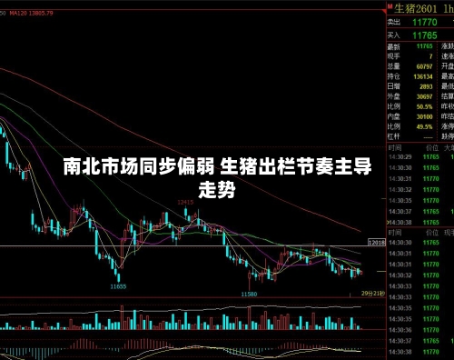 南北市场同步偏弱 生猪出栏节奏主导走势-第2张图片