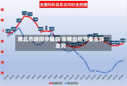 南北市场同步偏弱 生猪出栏节奏主导走势-第3张图片