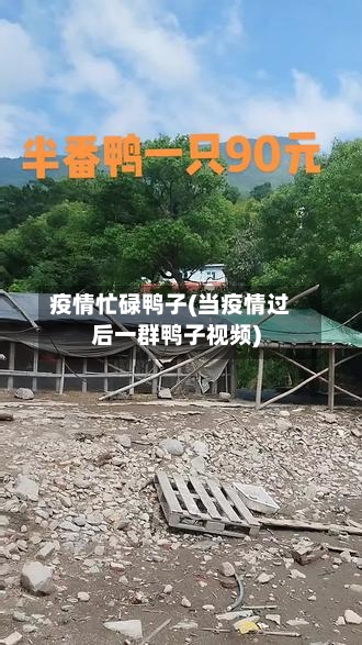 疫情忙碌鸭子(当疫情过后一群鸭子视频)-第3张图片