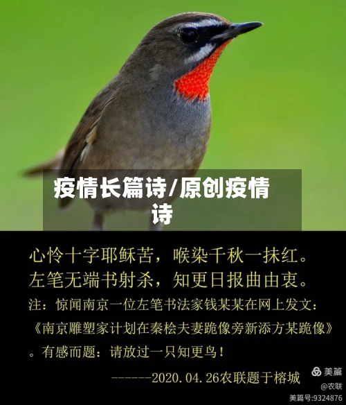 疫情长篇诗/原创疫情诗-第3张图片