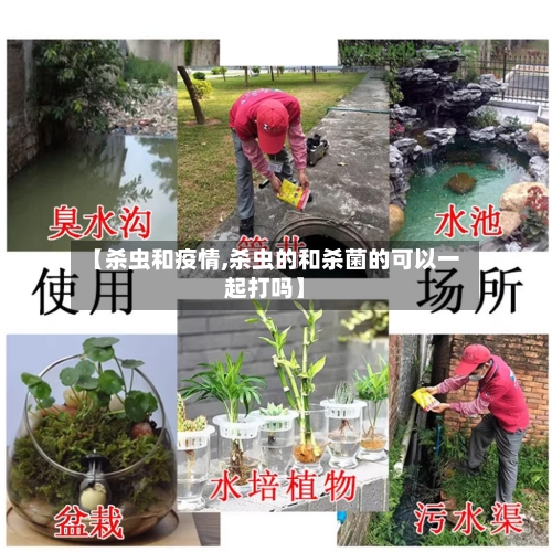 【杀虫和疫情,杀虫的和杀菌的可以一起打吗】