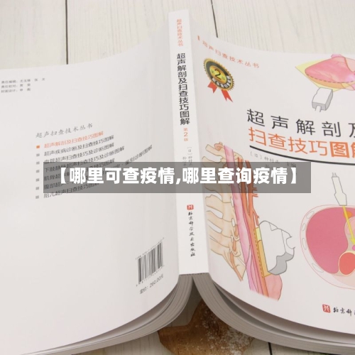 【哪里可查疫情,哪里查询疫情】-第2张图片