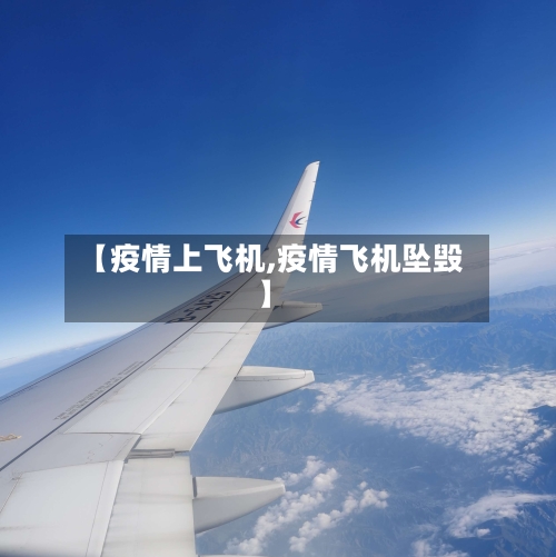 【疫情上飞机,疫情飞机坠毁】
