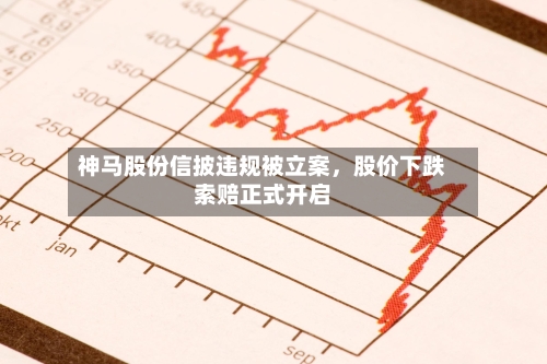 神马股份信披违规被立案，股价下跌索赔正式开启-第3张图片