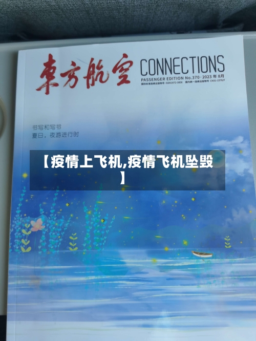 【疫情上飞机,疫情飞机坠毁】-第3张图片