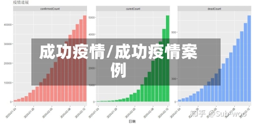 成功疫情/成功疫情案例