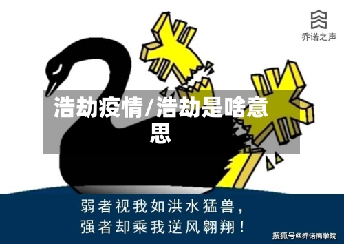 浩劫疫情/浩劫是啥意思