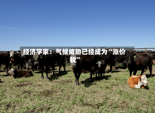 经济学家：气候威胁已经成为“涨价税”-第3张图片