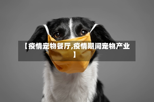 【疫情宠物餐厅,疫情期间宠物产业】-第2张图片