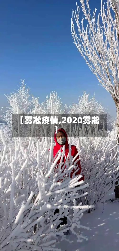 【雾凇疫情,2020雾凇】