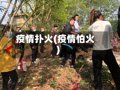 疫情扑火(疫情怕火)-第2张图片