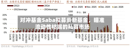 对冲基金Saba拟募资新基金	，瞄准流动性枯竭的私募市场-第2张图片