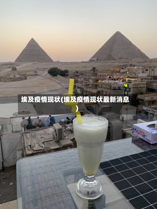 埃及疫情现状(埃及疫情现状最新消息)-第2张图片