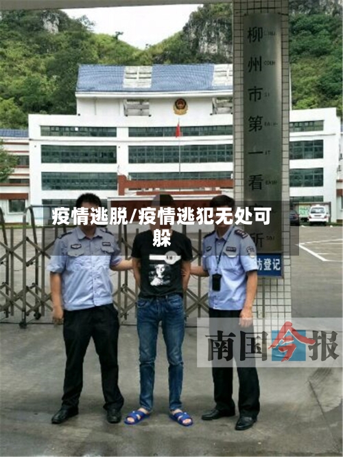 疫情逃脱/疫情逃犯无处可躲