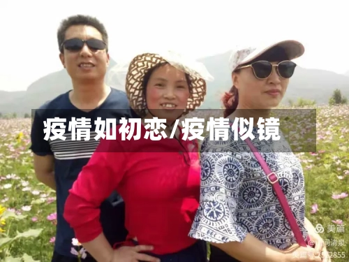 疫情如初恋/疫情似镜-第2张图片