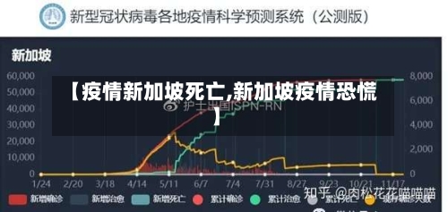 【疫情新加坡死亡,新加坡疫情恐慌】-第2张图片