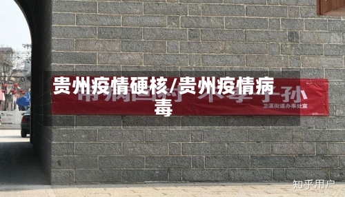 贵州疫情硬核/贵州疫情病毒-第2张图片