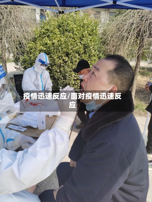 疫情迅速反应/面对疫情迅速反应-第2张图片