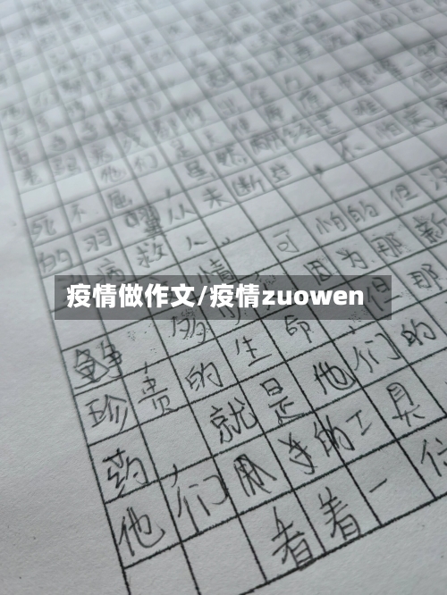 疫情做作文/疫情zuowen
