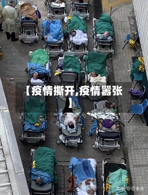 【疫情撕开,疫情嚣张】-第2张图片