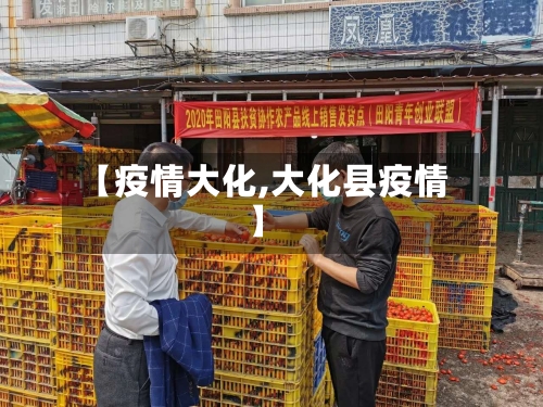 【疫情大化,大化县疫情】