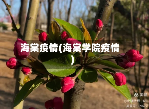 海棠疫情(海棠学院疫情)