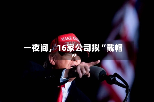 一夜间	，16家公司拟“戴帽”-第3张图片