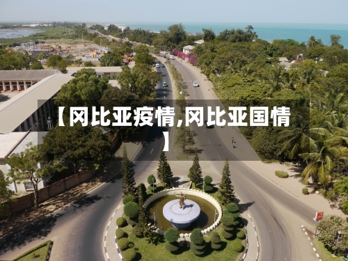 【冈比亚疫情,冈比亚国情】-第2张图片