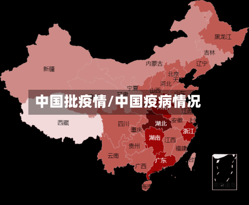 中国批疫情/中国疫病情况