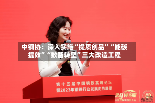 中钢协：深入实施“提质创品	”“能碳提效”“数智转型”三大改造工程-第2张图片