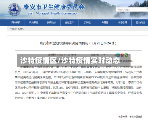 沙特疫情区/沙特疫情实时动态-第2张图片