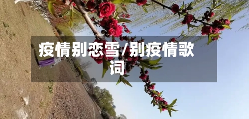 疫情别恋雪/别疫情歌词-第2张图片