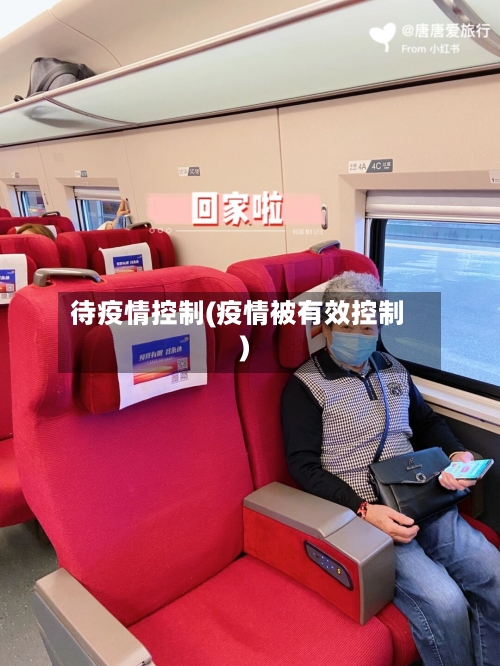 待疫情控制(疫情被有效控制)