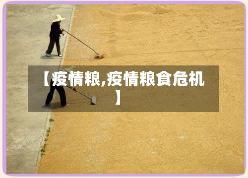 【疫情粮,疫情粮食危机】-第3张图片