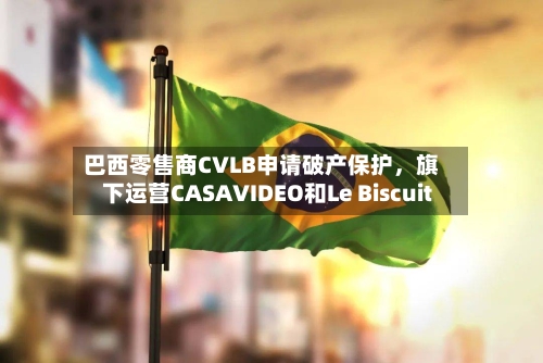 巴西零售商CVLB申请破产保护，旗下运营CASAVIDEO和Le Biscuit-第2张图片