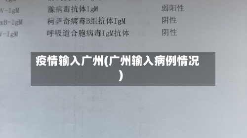 疫情输入广州(广州输入病例情况)