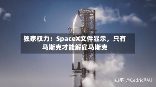 独家权力：SpaceX文件显示，只有马斯克才能解雇马斯克-第2张图片