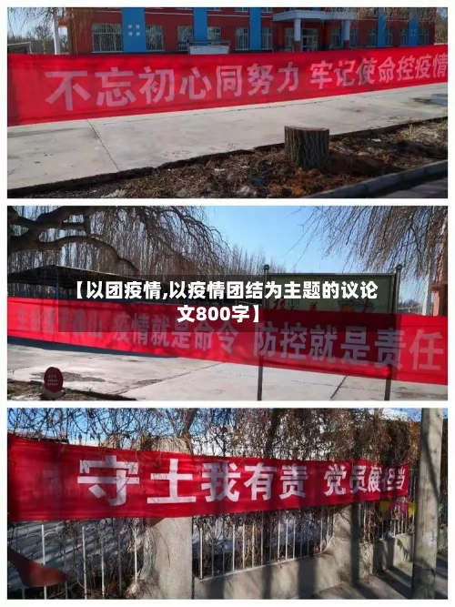 【以团疫情,以疫情团结为主题的议论文800字】