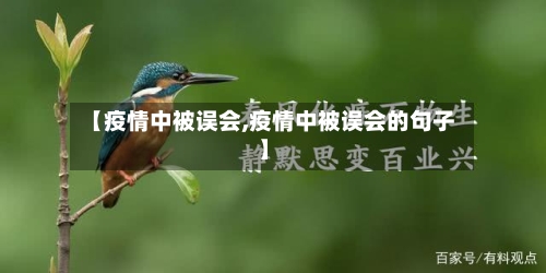 【疫情中被误会,疫情中被误会的句子】-第3张图片