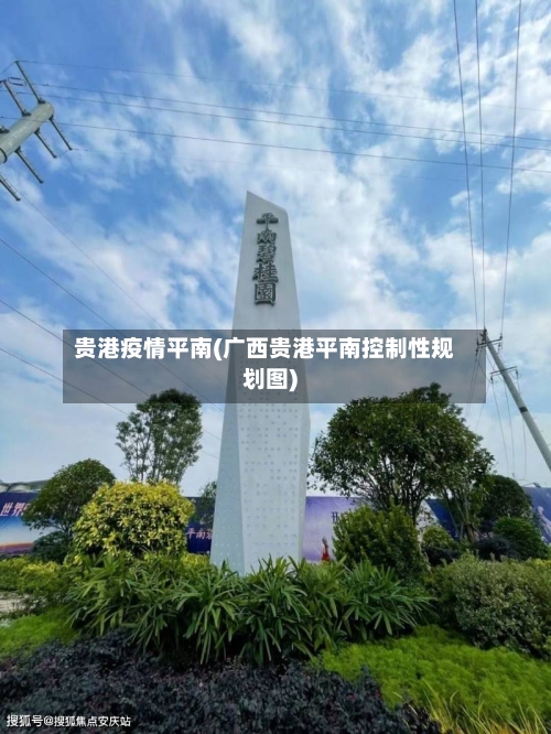 贵港疫情平南(广西贵港平南控制性规划图)