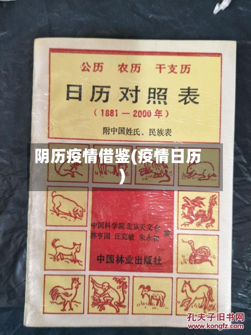 阴历疫情借鉴(疫情日历)-第3张图片