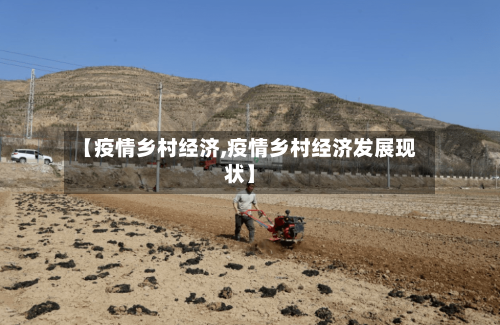 【疫情乡村经济,疫情乡村经济发展现状】
